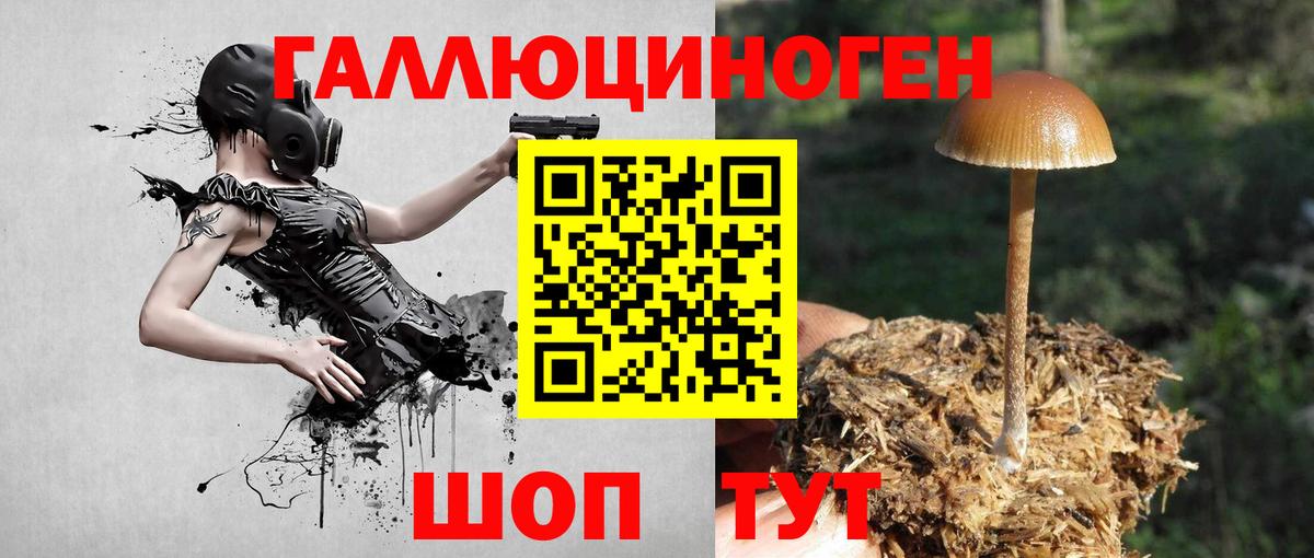 Псилоцибиновые грибы Magic Shrooms Пятигорск