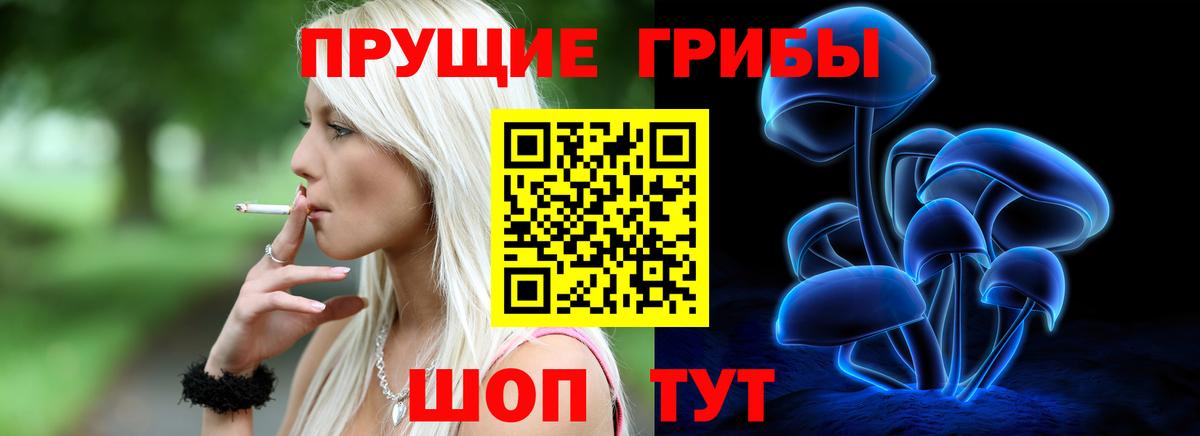 Пятигорск  Галлюциногенные грибы прущие грибы  Вход с VPN 